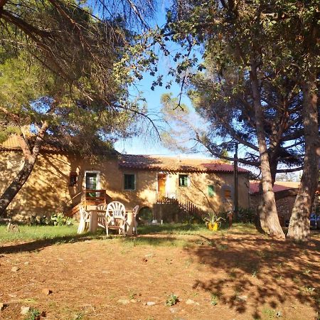 Maison Entiere Hameau Monastir Del Camp Passa 외부 사진