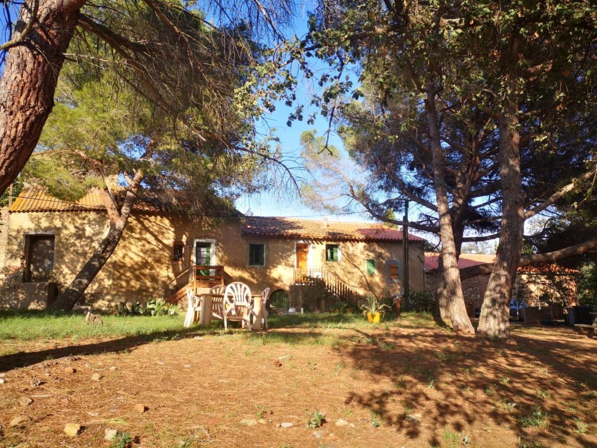 Maison Entiere Hameau Monastir Del Camp Passa 외부 사진